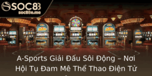 A Sports Giai Au Soi Ong Noi Hoi Tu Am Me The Thao Ien Tu Inh Cao