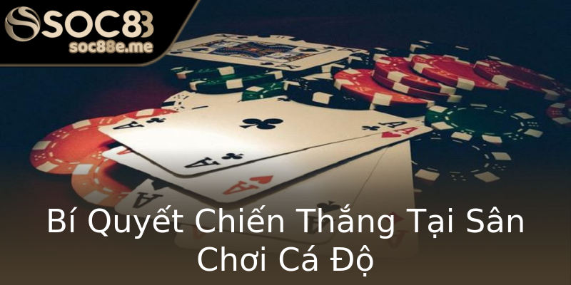Bí Quyết Chiến Thắng Tại Sân Chơi Cá Độ Bí Quyết Chiến Thắng Tại Sân Chơi Cá Độ