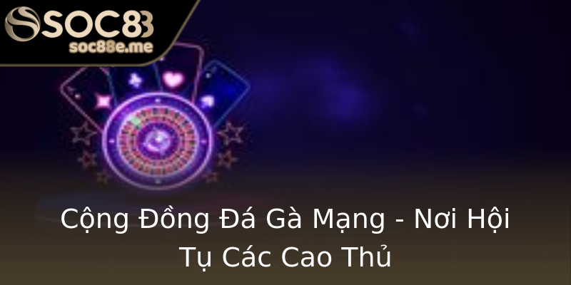 Cộng Đồng Đá Gà Mạng - Nơi Hội Tụ Các Cao Thủ Cộng Đồng Đá Gà Mạng - Nơi Hội Tụ Các Cao Thủ