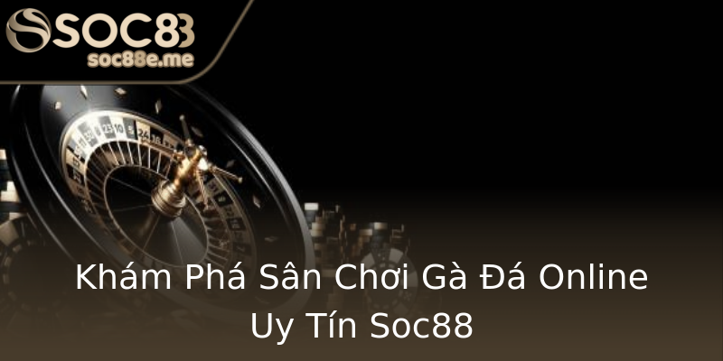 Khám Phá Sân Chơi Gà Đá Online Uy Tín Soc88 Khám Phá Sân Chơi Gà Đá Online Uy Tín Soc88