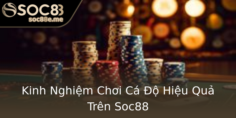 Kinh Nghiệm Chơi Cá Độ Hiệu Quả Trên Soc88 Kinh Nghiệm Chơi Cá Độ Hiệu Quả Trên Soc88