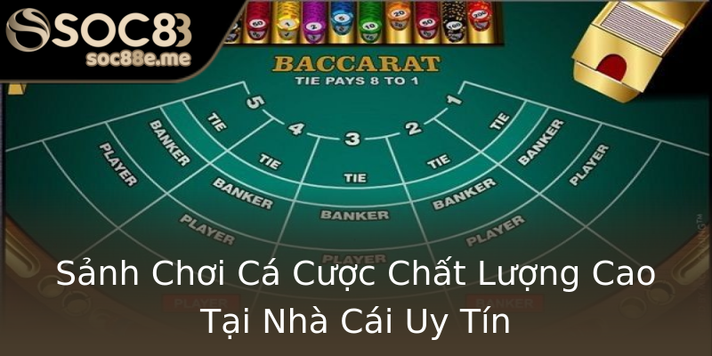 Sảnh Chơi Cá Cược Chất Lượng Cao Tại Nhà Cái Uy Tín Sảnh Chơi Cá Cược Chất Lượng Cao Tại Nhà Cái Uy Tín