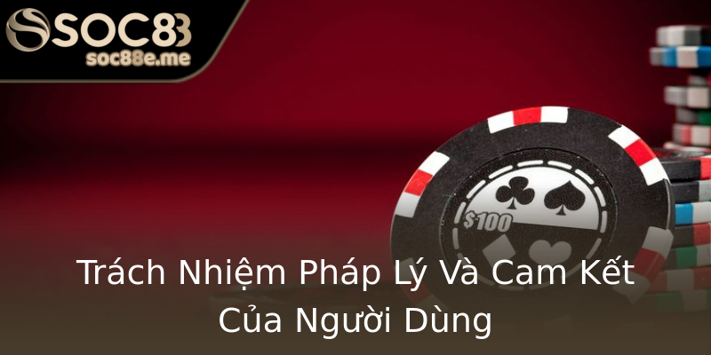 Trách Nhiệm Pháp Lý Và Cam Kết Của Người Dùng Trách Nhiệm Pháp Lý Và Cam Kết Của Người Dùng