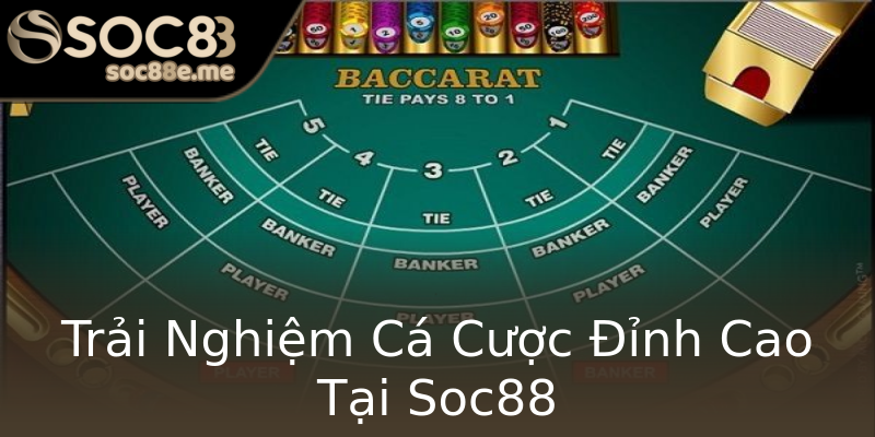 Trải Nghiệm Cá Cược Đỉnh Cao Tại Soc88 Trải Nghiệm Cá Cược Đỉnh Cao Tại Soc88